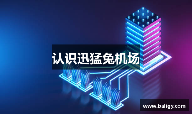 认识迅猛兔机场