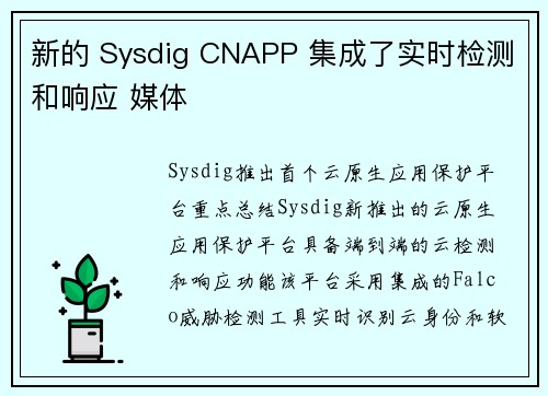 新的 Sysdig CNAPP 集成了实时检测和响应 媒体